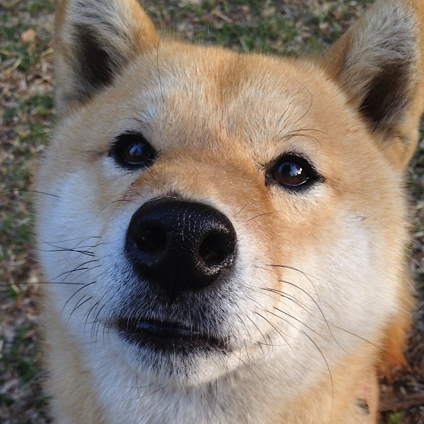 全国中小学体育运动会开幕，百校齐聚竞技场，全国中小学体育比赛