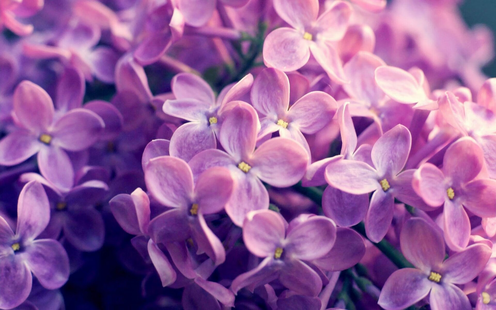 _极限尔湾：跨界运动新品类引发关注_，极限lc