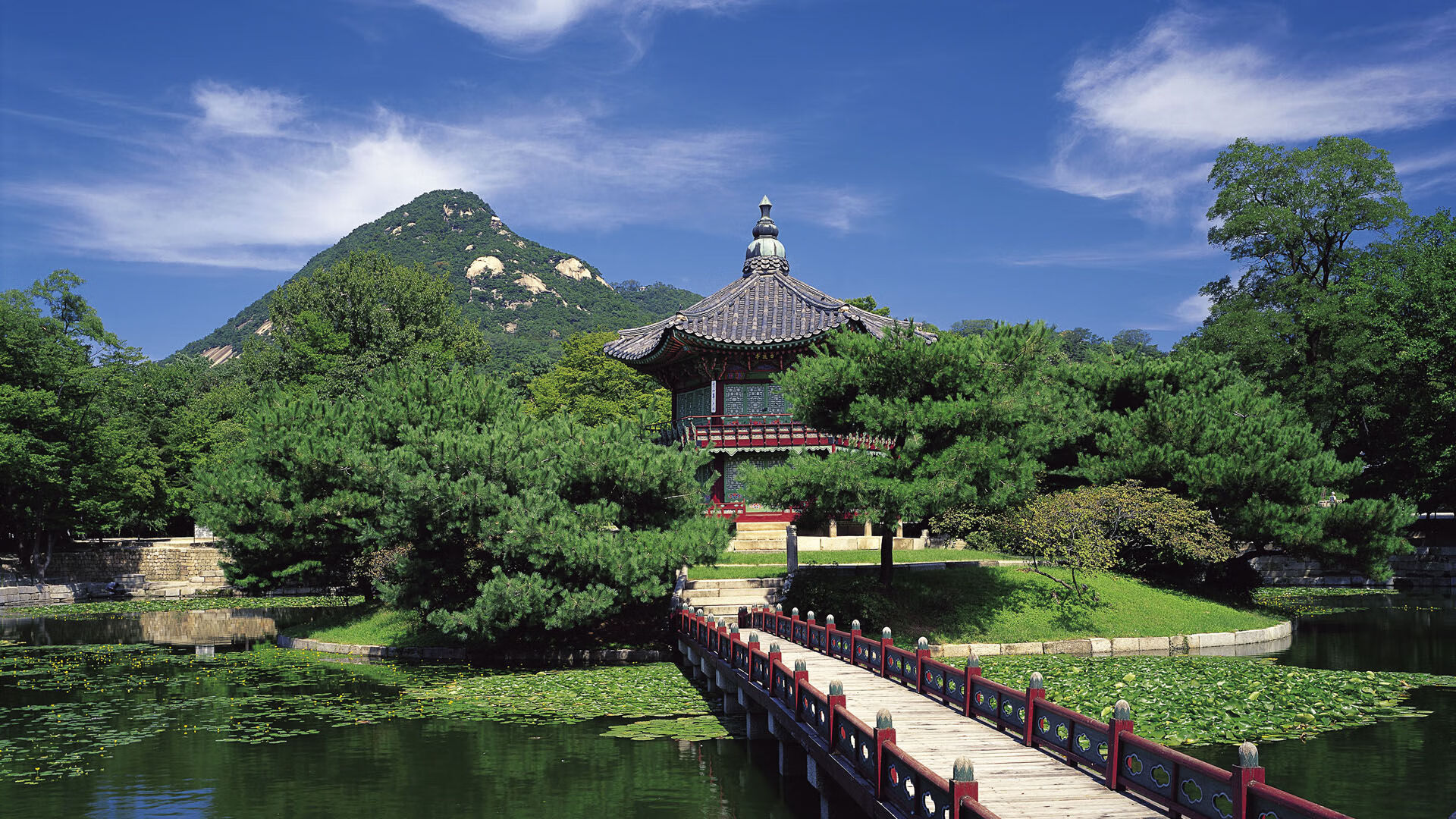_极限攀岩比赛:天与地的极限碰撞_,关于极限攀岩的电影